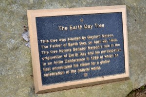 The Earth Day Tree