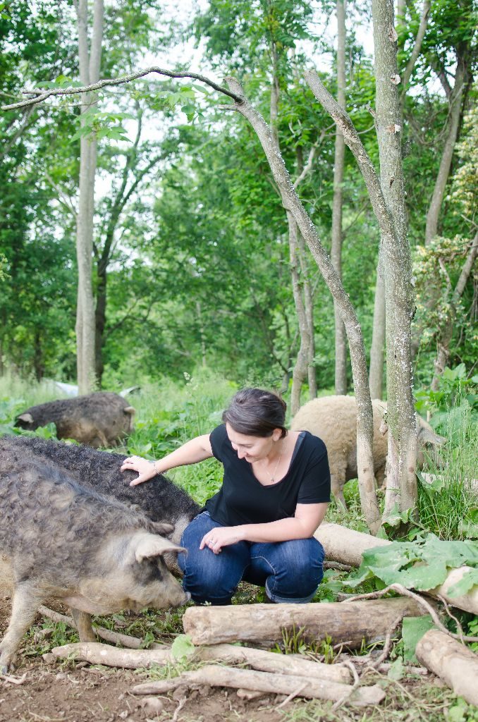 Molly scratching and loving on some of their Mangalitsa pigs