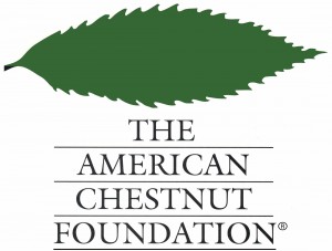 The Virginia Chapter of The American Chestnut Foundation to Host 3rd Chestnut Gala