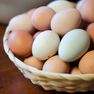 The Incredible Egg | Recent rationing and buying local
