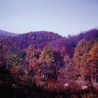 Virginia’s Department of Forestry | Celebrating a Century of Conservation