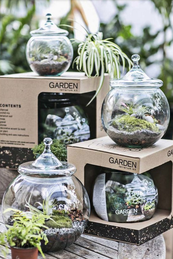 Terrarium Workshop