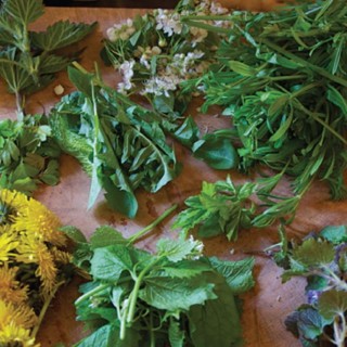 “Wild” About Spring Foods
