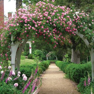 Piedmont Gardens
