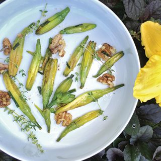 Serving Up Daylilies: Recipes from the Garden