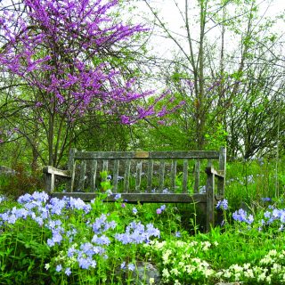 The State Arboretum: Much More Than Trees