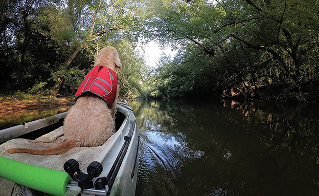 Kayaking with your dog can be smooth sailing