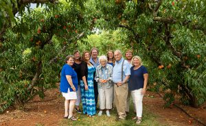 Learn About Peaches  Chiles Family Orchards