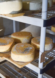 Farmstead Cheese — Georges Mill Farm Artisan Cheese